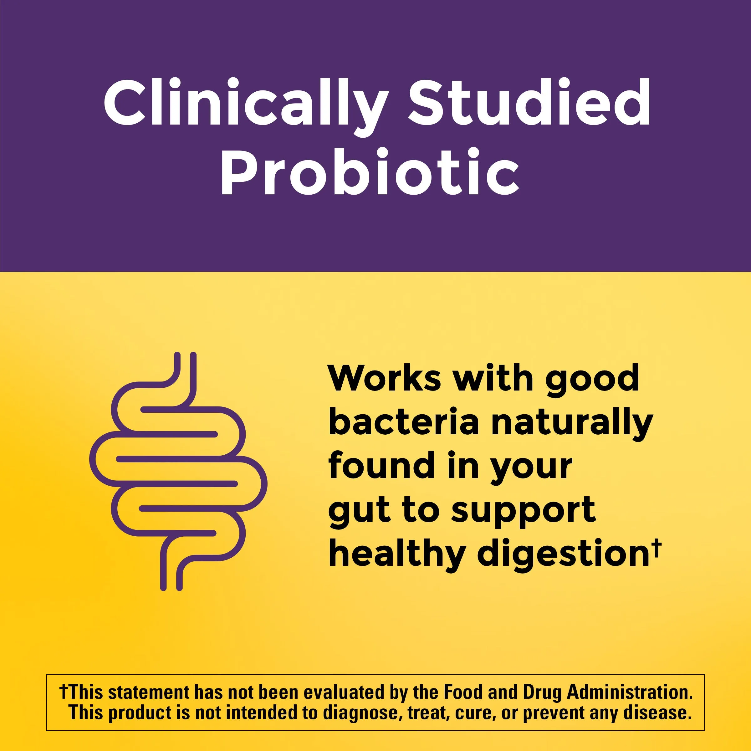 Digestive Probiotics Extra Strength 8 Billion CFU per 2 Gummies
