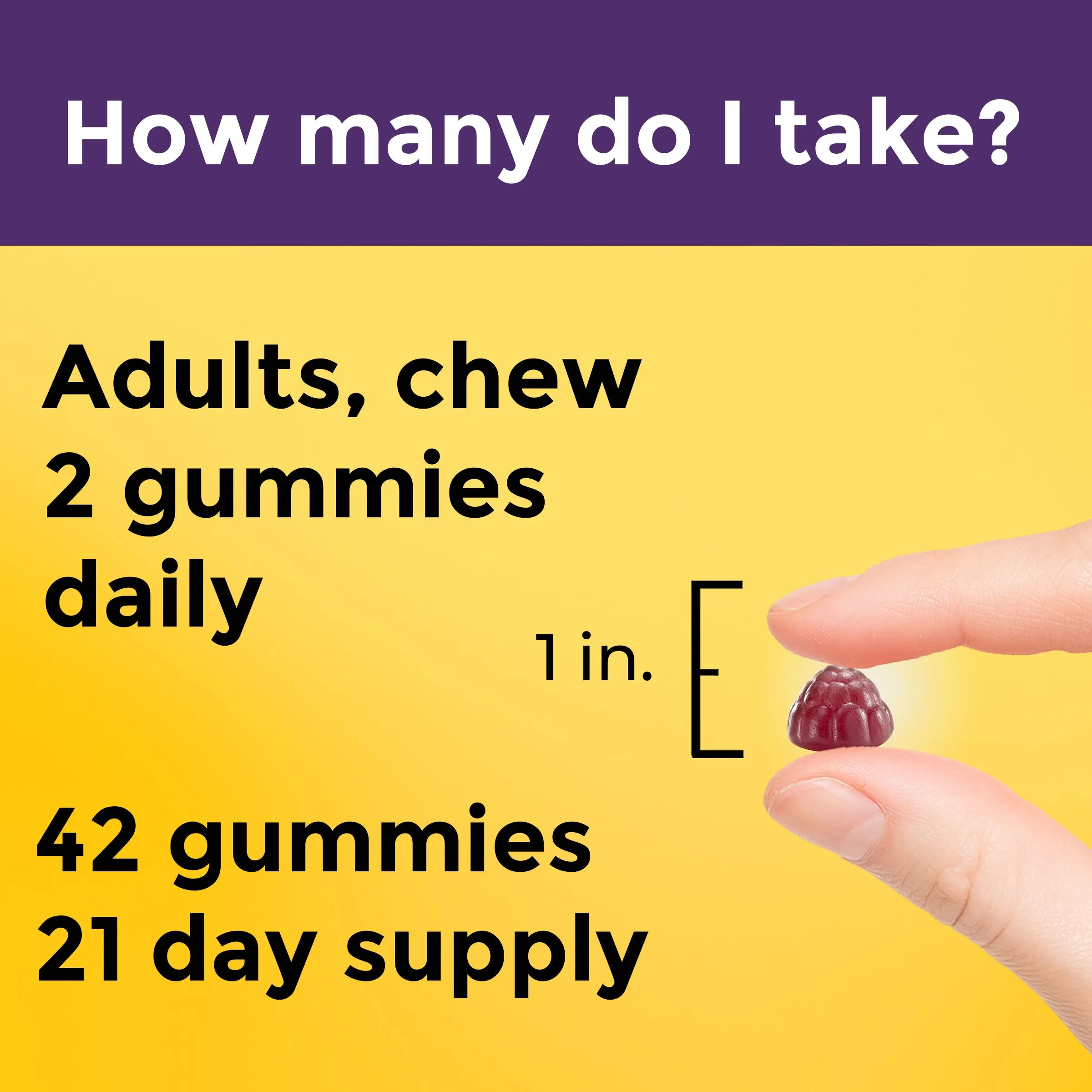 Digestive Probiotics Extra Strength 8 Billion CFU per 2 Gummies