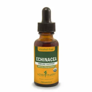Echinacea Alcohol-Free by Herb Pharm