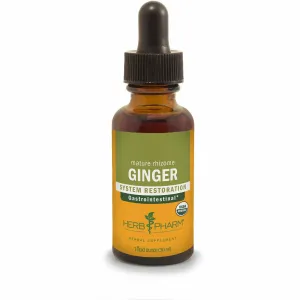 Ginger by Herb Pharm