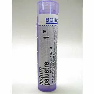Ledum palustre 1M 80 plts by Boiron