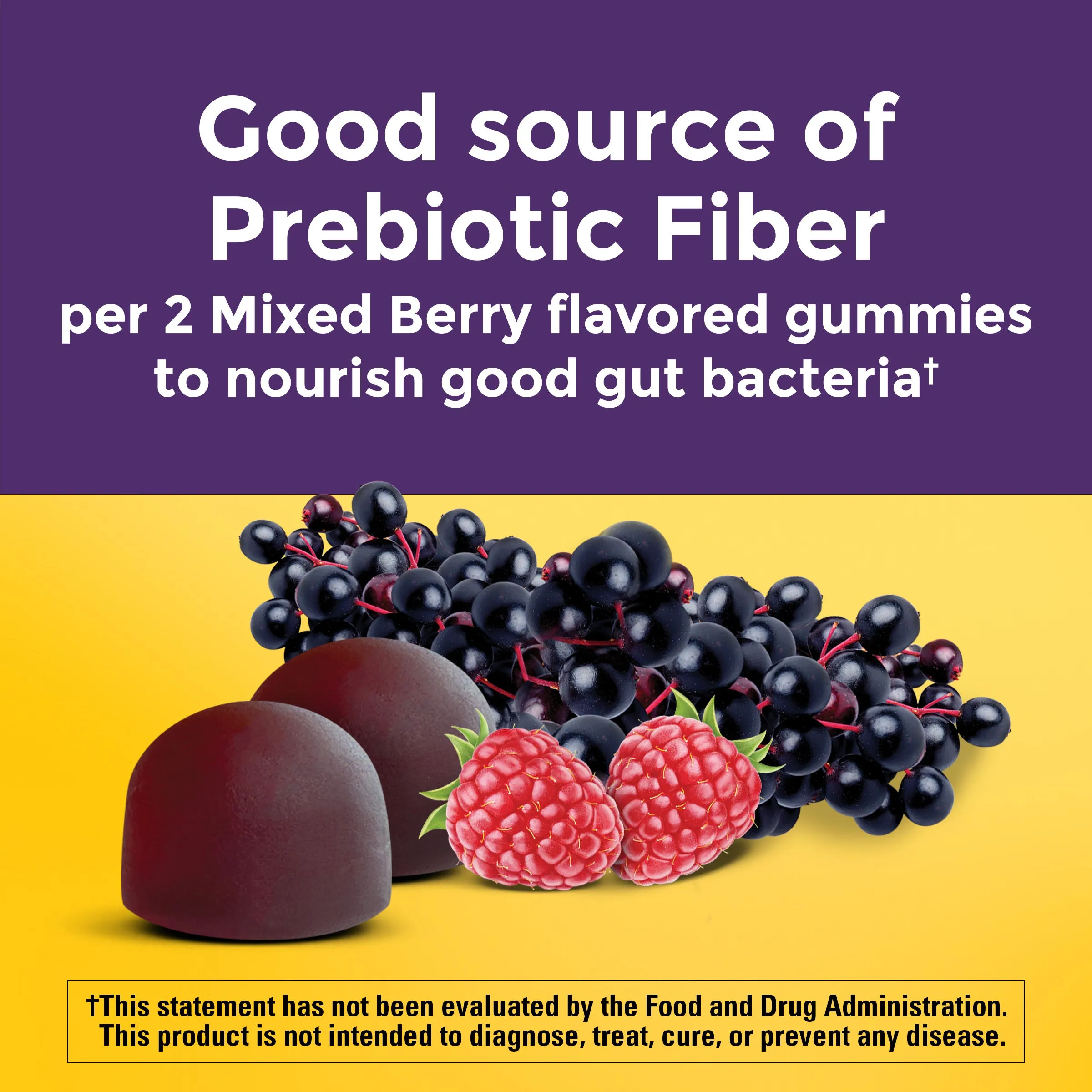 Probiotic   Prebiotic Fiber Gummies