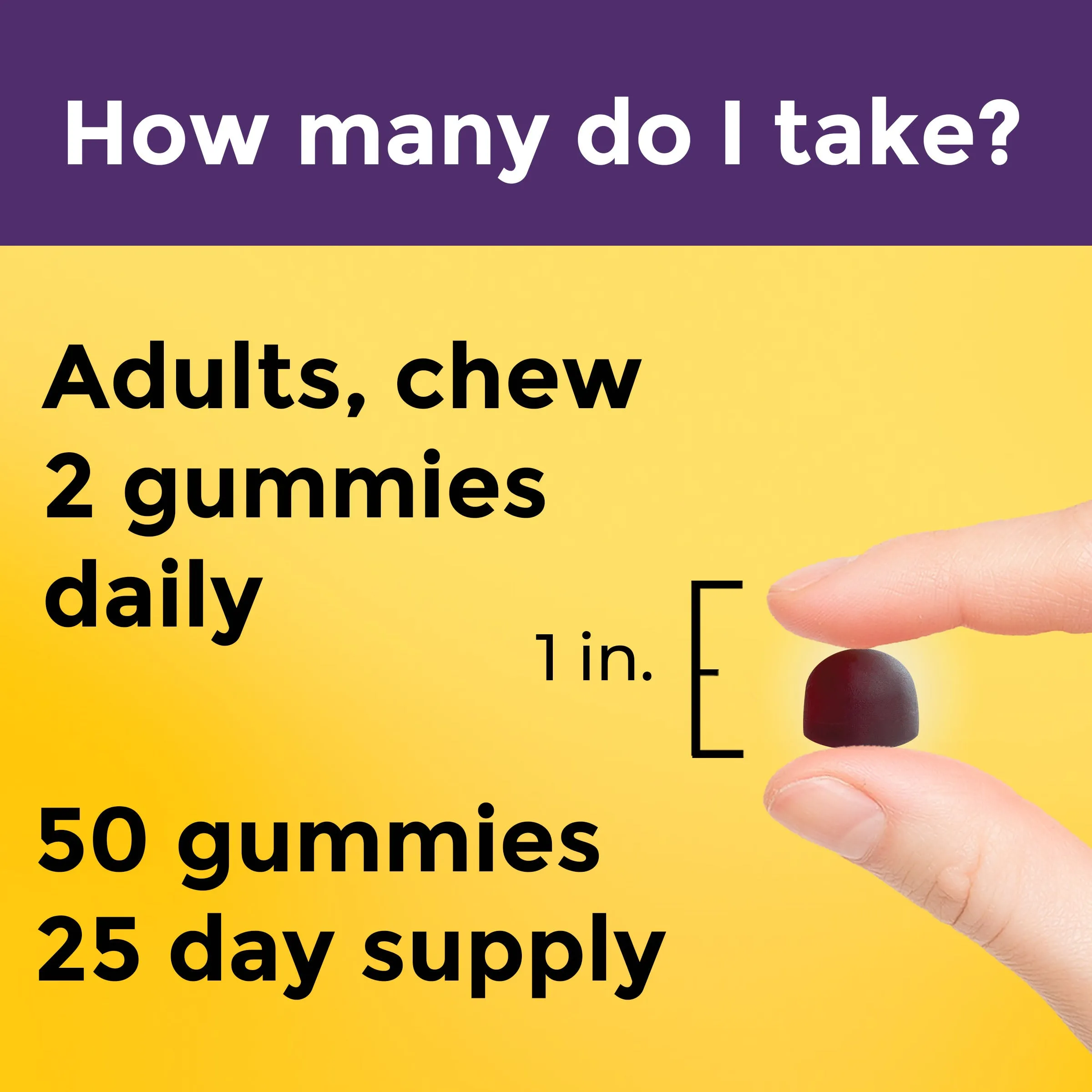 Probiotic   Prebiotic Fiber Gummies