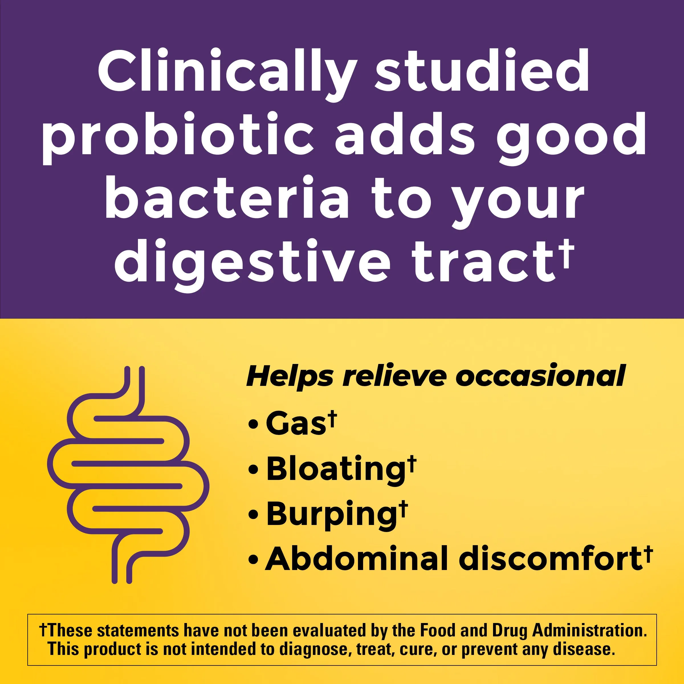 Probiotic   Prebiotic Fiber Gummies