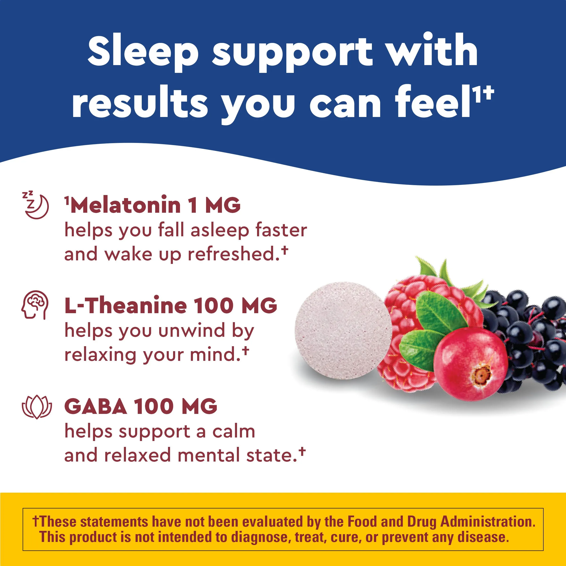 Wellblends Back to Sleep Fast Dissolve Tablets