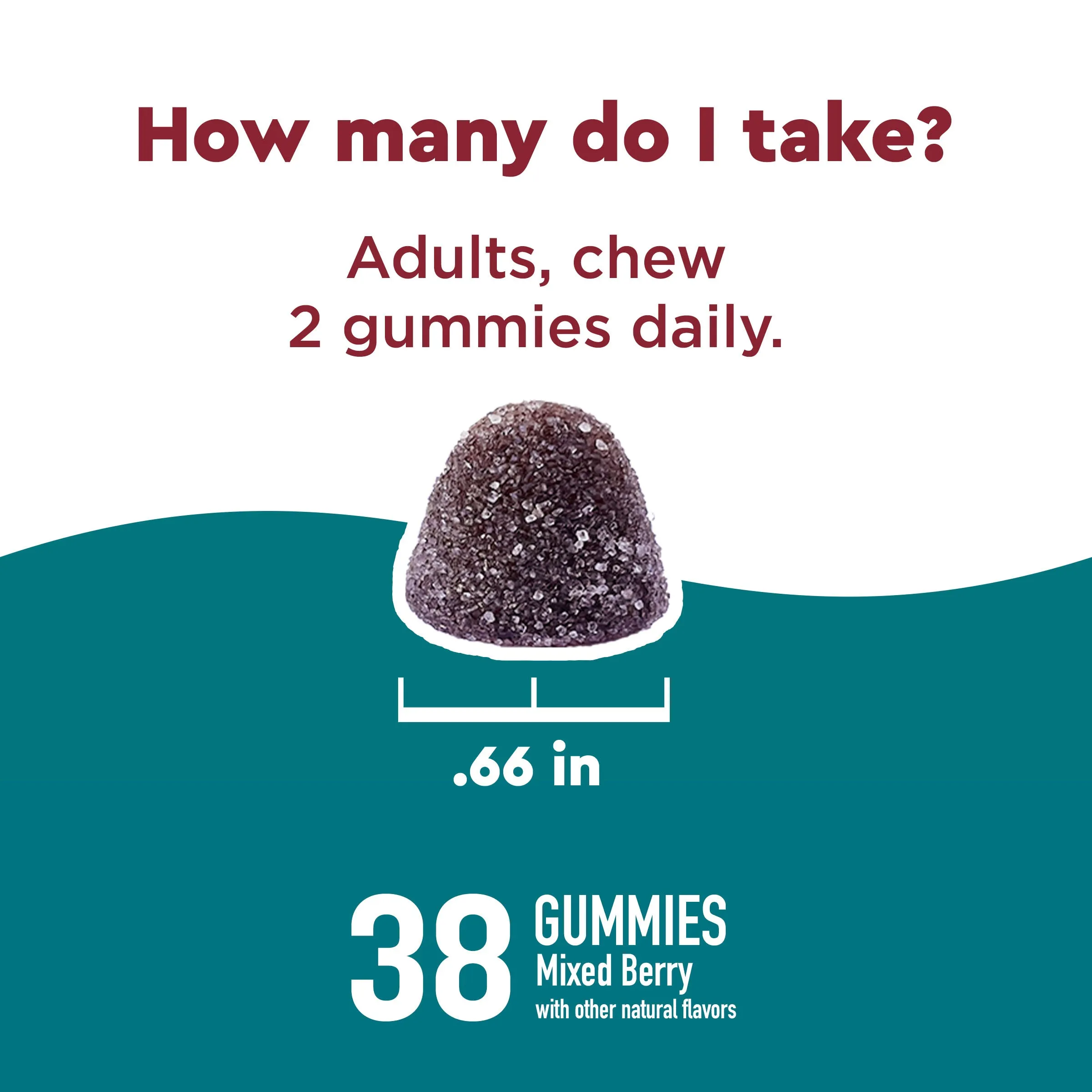 Wellblends Calm Mind & Body Gummies