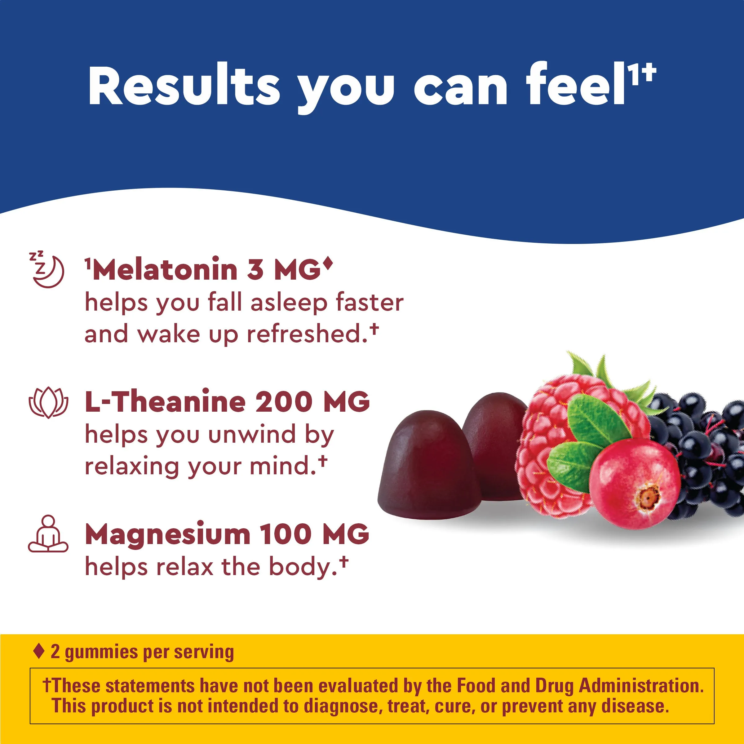 Wellblends Sleep & Recover Gummies